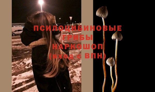 ГАЛЛЮЦИНОГЕННЫЕ ГРИБЫ Алексин