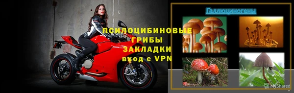 ALPHA PVP Алексеевка