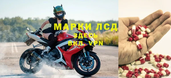 ГАЛЛЮЦИНОГЕННЫЕ ГРИБЫ Алексин